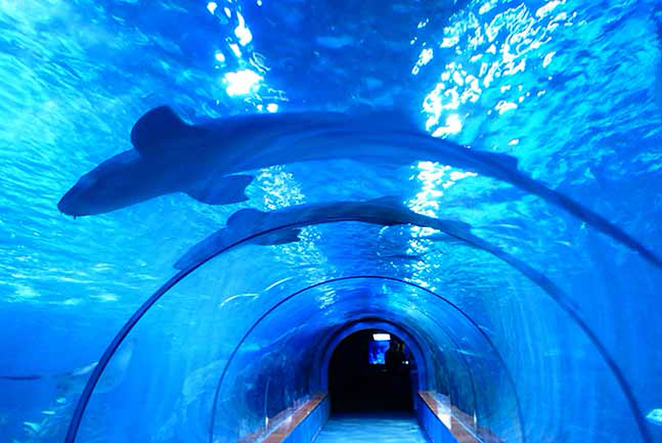 Interior view of the National Marine Aquarium