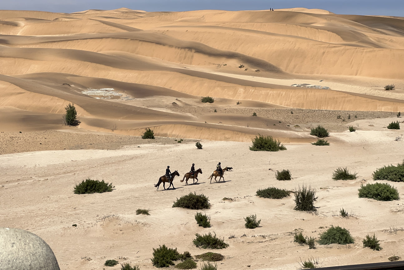 Horse riding on the beach