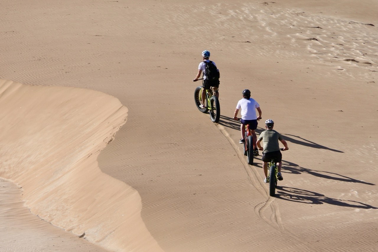 Bicycles in the desert at sunset