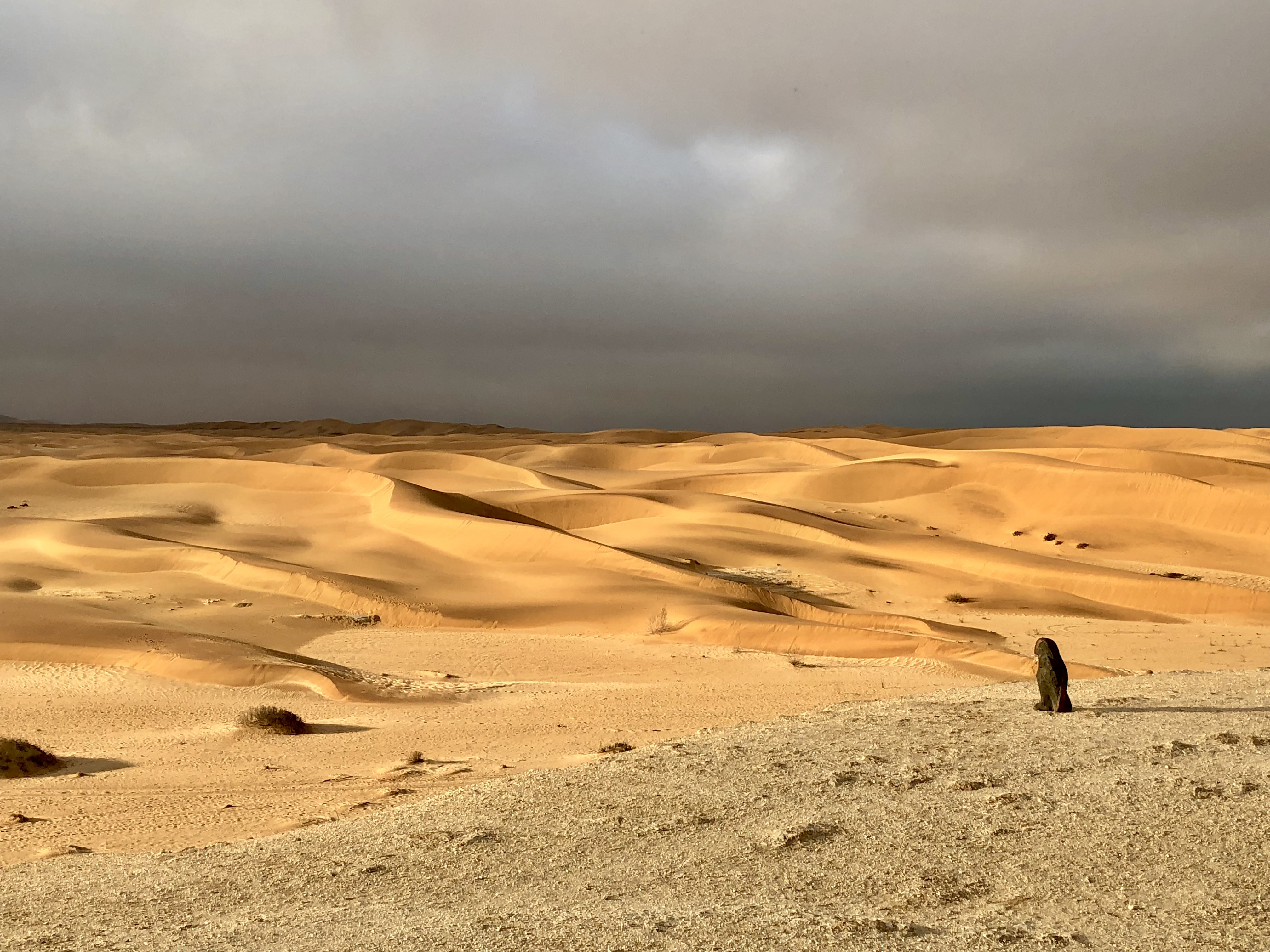 Namib Desert dunes and wide open sky near Desert Breeze