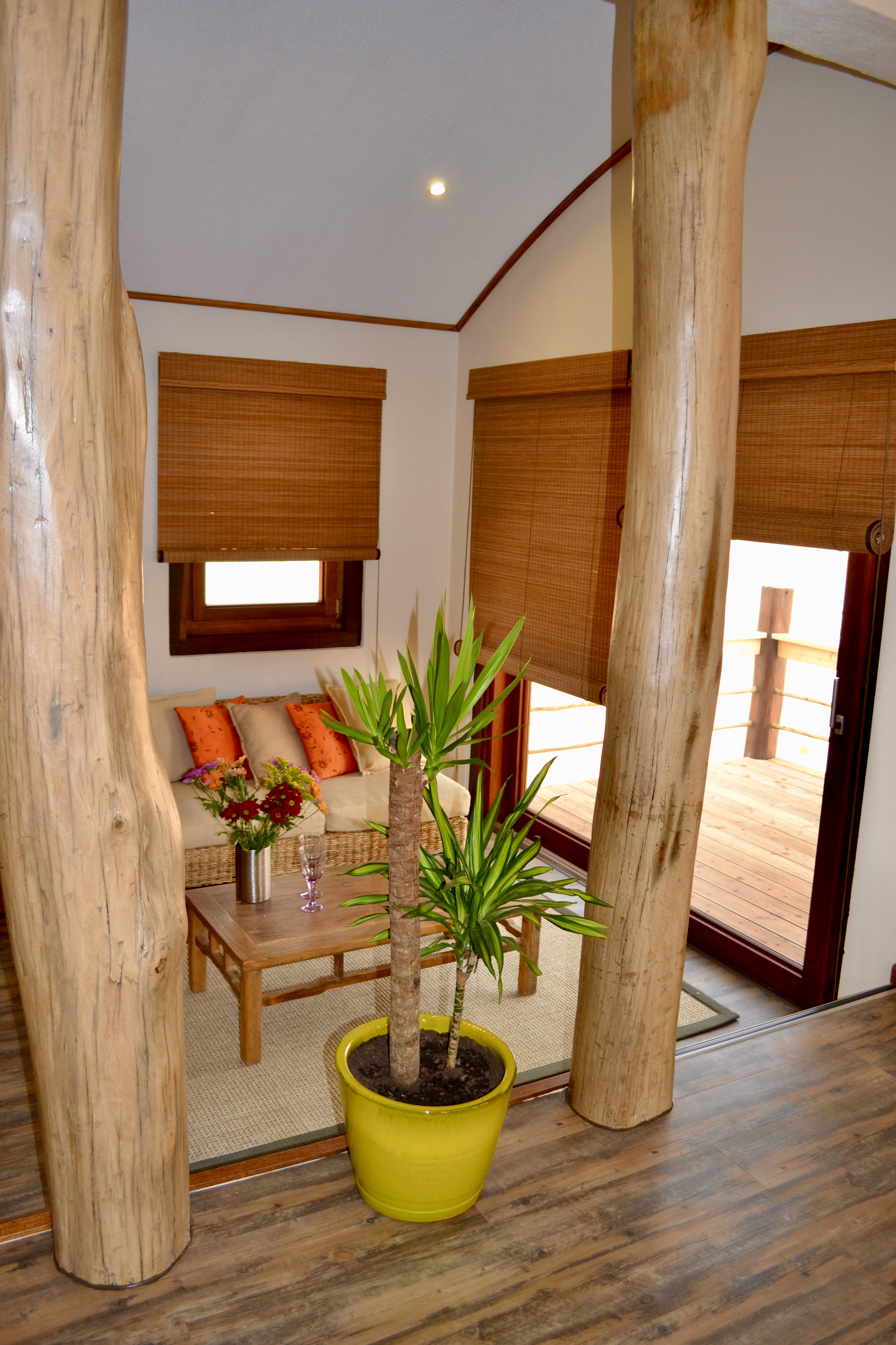 Desert Breeze bungalow and Namib desert landscape