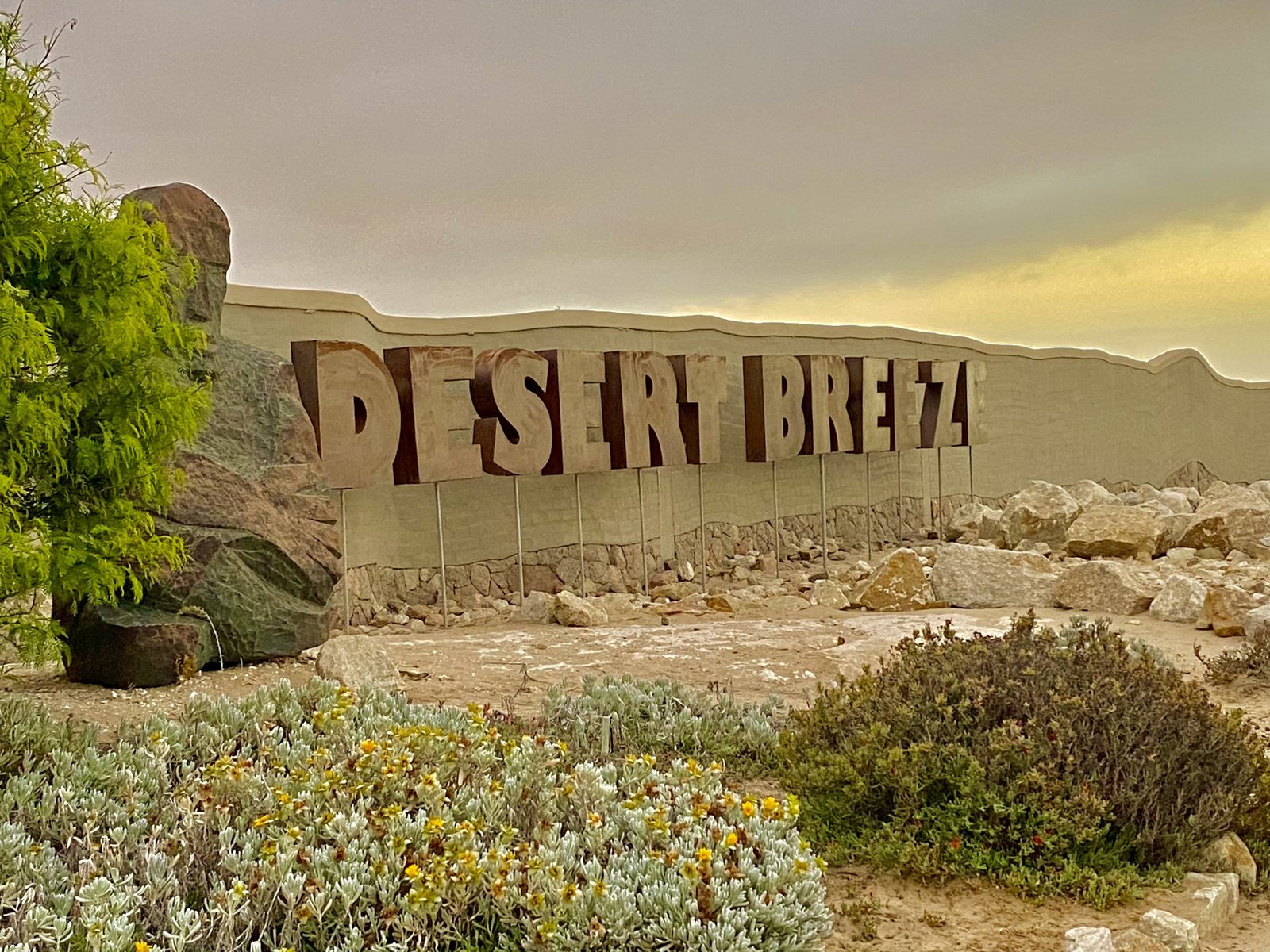 Desert Breeze entrance sign and desert garden