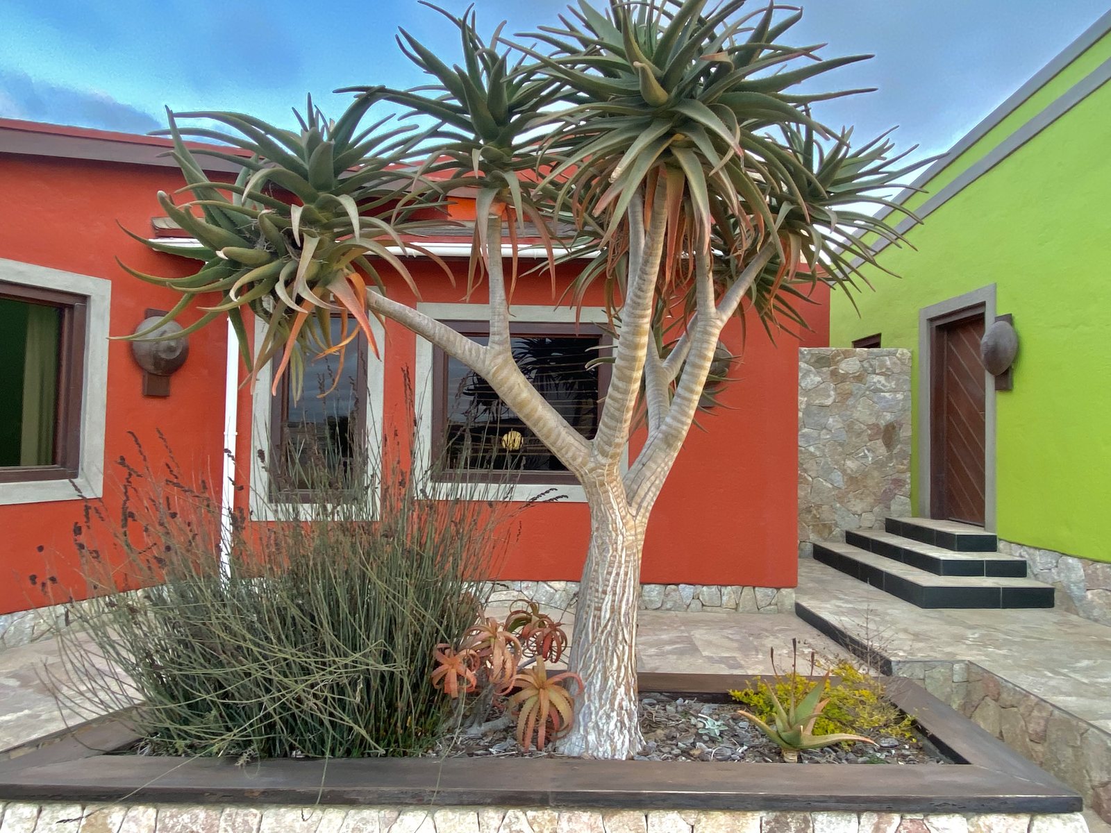 Colourful Desert Breeze architecture with desert plants