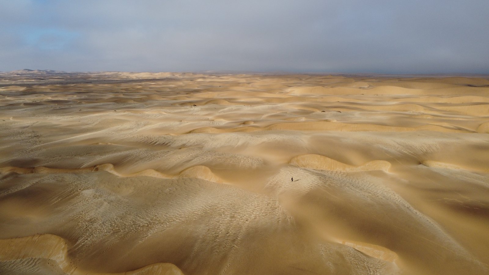 Wind-shaped dunes near Desert Breeze