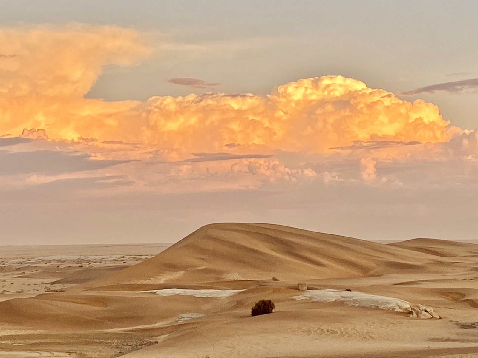 Apricot dunes and a glowing cloud near Desert Breeze