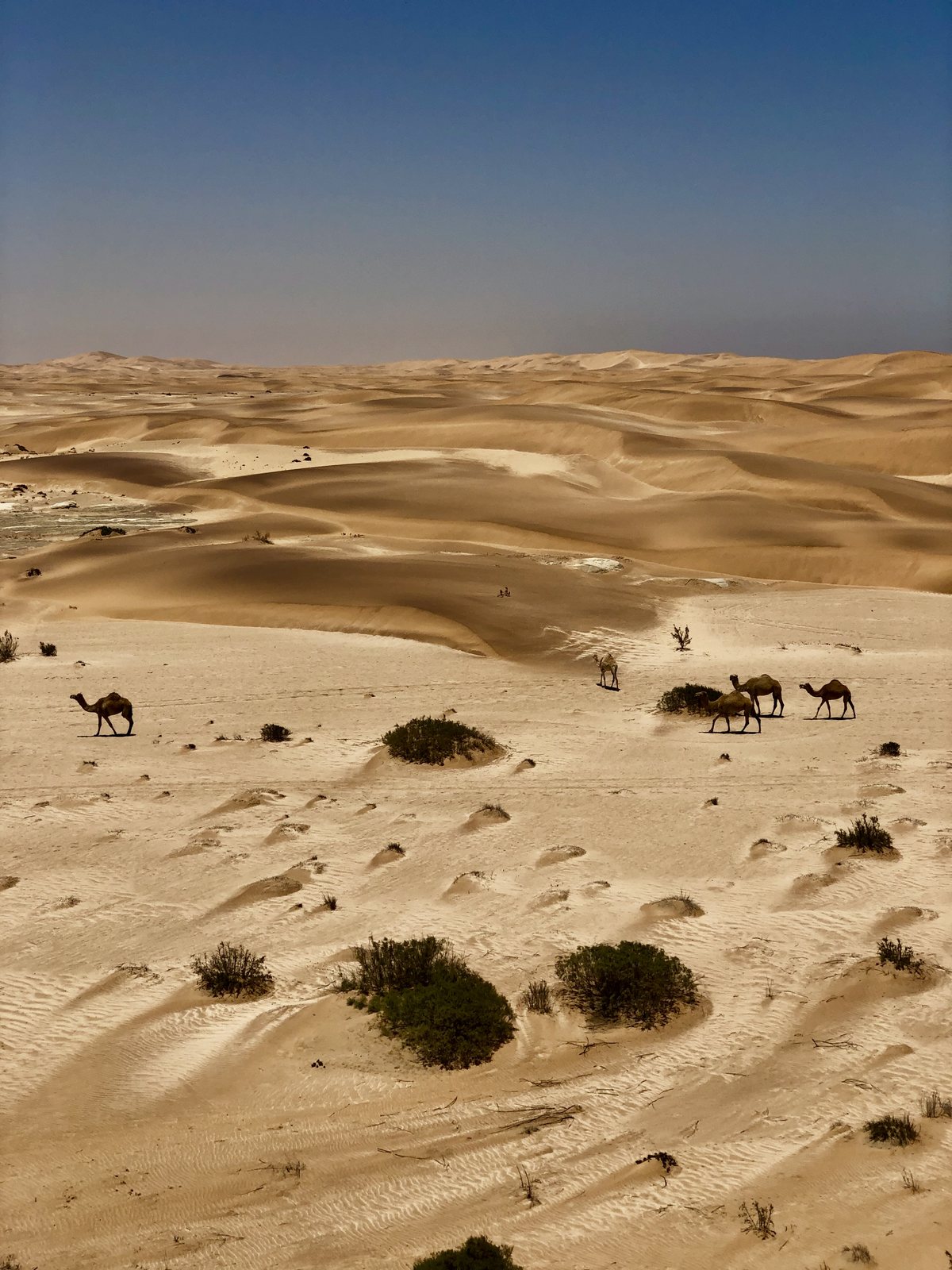 Layered desert dunes below Desert Breeze